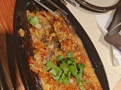 -老杨太太烧烤(文化广场店)