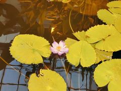 -国家植物园南园