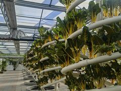 -兴芮温泉度假区