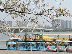 -蠡湖大桥公园