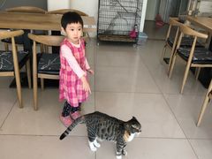 -平行世界·猫咖(首经贸店)