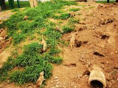-秦皇岛野生动物园