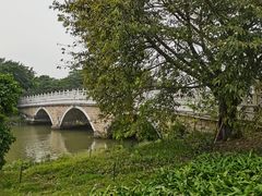 -海珠湖公园