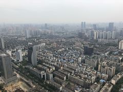 -339旋转餐厅(天府熊猫塔店)