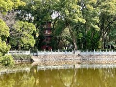-阿育王寺