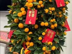 -丁叮小排档·八道江湖菜·团建聚餐(车公庙店)