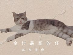 -芭比堂动物医院·心脏专科·夜诊·吉雅分院