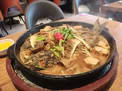 -老板恋上鱼(恒隆广场店)