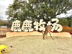 -盈香心动乐园
