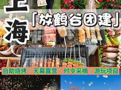 -栖露营camping·天幕烧烤·团建拓展·采摘营地