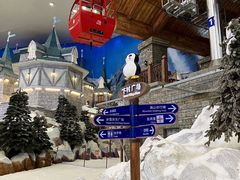 -湘江欢乐城欢乐雪域