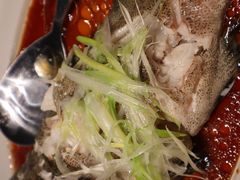 清蒸老虎斑-徐记海鲜(汉城湖|太奥店)