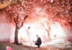 点击看大图 -韩慕婚纱摄影(九亭店)