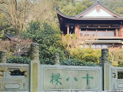 -十八棵（老龙井）御茶园(老龙井店)