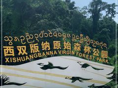 -西双版纳原始森林公园