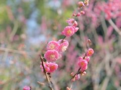 -上海方塔园