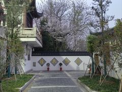 -东台西溪天仙缘景区