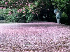 -苏州上方山国家森林公园