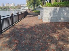 -葛仙湖公园