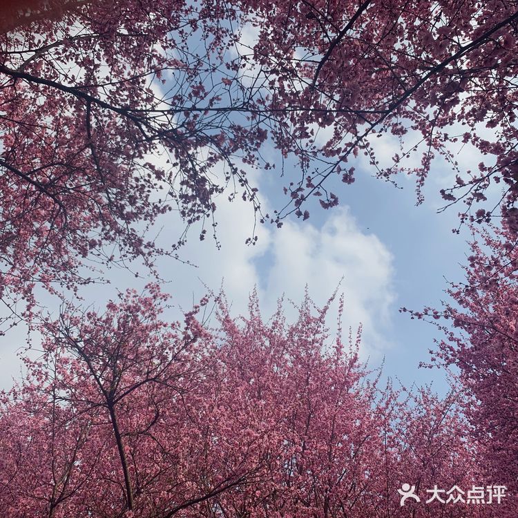 成都植物园