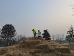 -上美四季动物农场