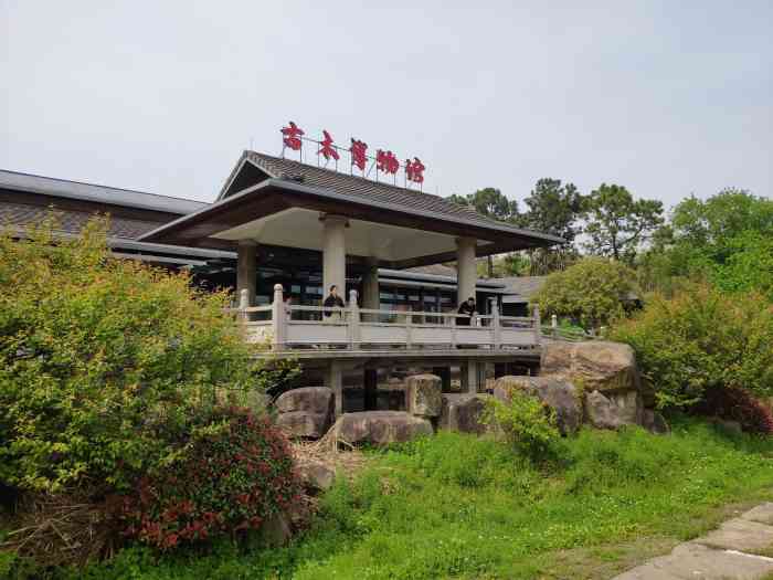 太湖古木艺术馆图片