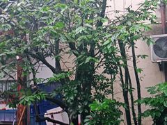 -李东农庄(中南百草园地标店)