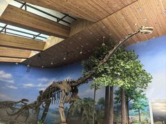 -延庆地质公园博物馆