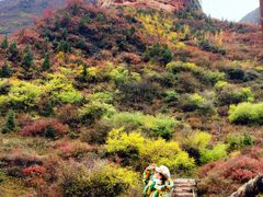 -冶力关旅游区