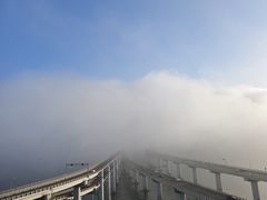 -星海湾跨海大桥