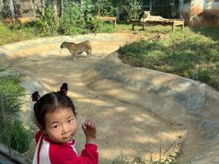 -昆明动物园