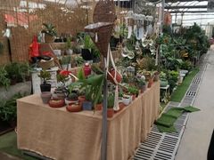 -秦美花卉(天朗·莱茵小城2期店)