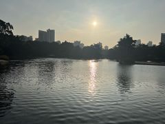 -荔湾湖公园