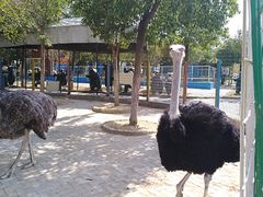 -武汉紫薇都市田园