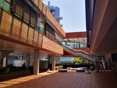 -香港大学