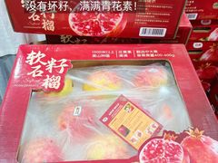-山姆会员商店(上海浦东店)