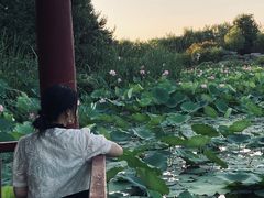 -云居湖
