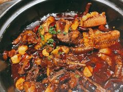-三强鸽子(中原路店)