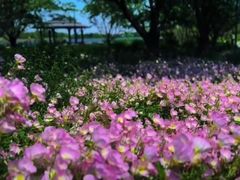 -人民公园(罗湖区)