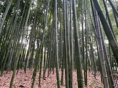 -汇龙潭