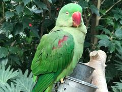 -南宫五洲植物乐园