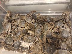 -釜御山海鲜烤肉火锅自助(新城市中心店)
