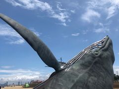 -烟台金沙滩海滨公园