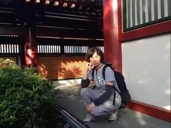 -新加坡佛牙寺龙华院