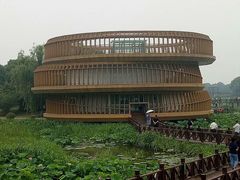 -荷塘月色湿地公园·向阳花洲