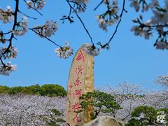 -东湖磨山景区