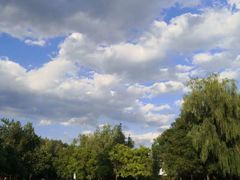 -大兴滨河森林公园