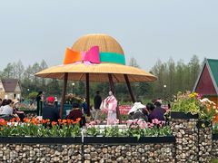 -荷兰花海