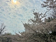 -南山植物园