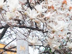 -龙华寺